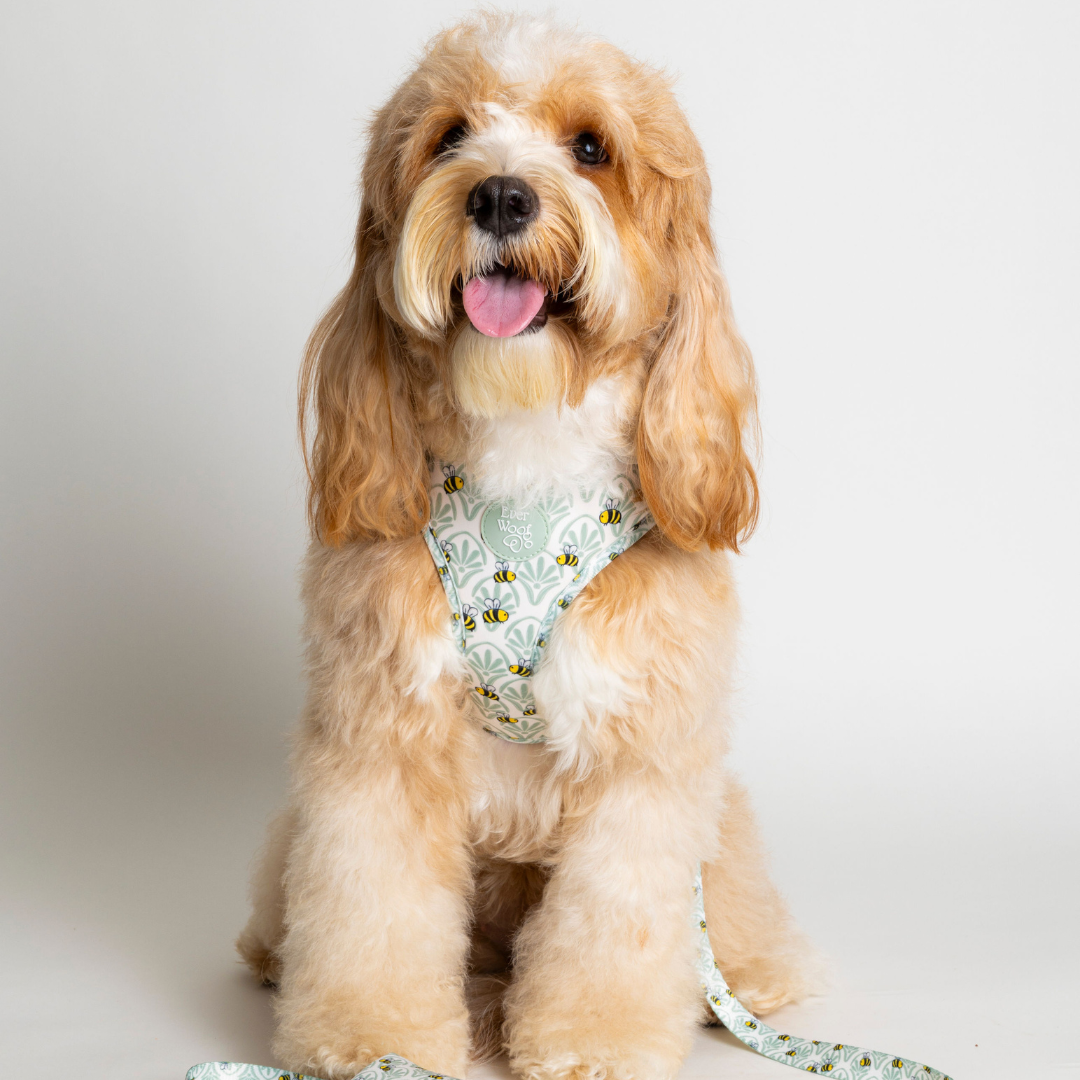 Little Honey Adjustable Harness