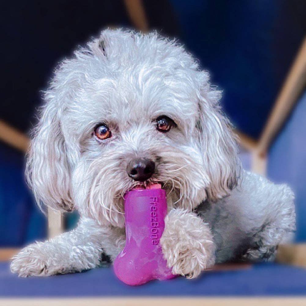 Freezbone - Freezbone - The Dog Feeders ®