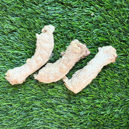 Doot's Chew Bar - Golden Nibbles - Chicken Neck - Freeze-Dried Treat for Dogs & Cats