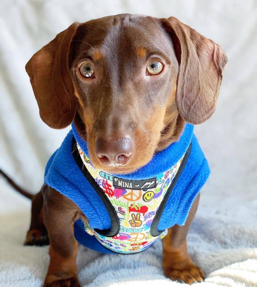 Mina + Pup - Colorful Graffiti Edition Adjustable Dog and Cat Harness