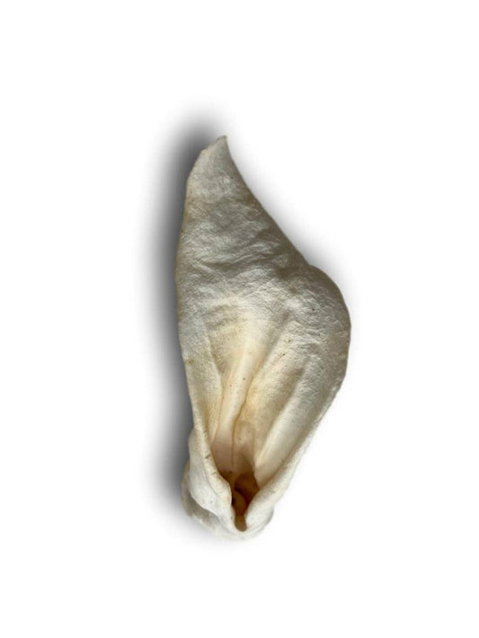 Healthy Dog Chews - Lamb Ears  (LB0100LE) - Single