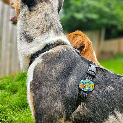 Jiby Dog Crew - Peeing Outdoors Dog Jiby