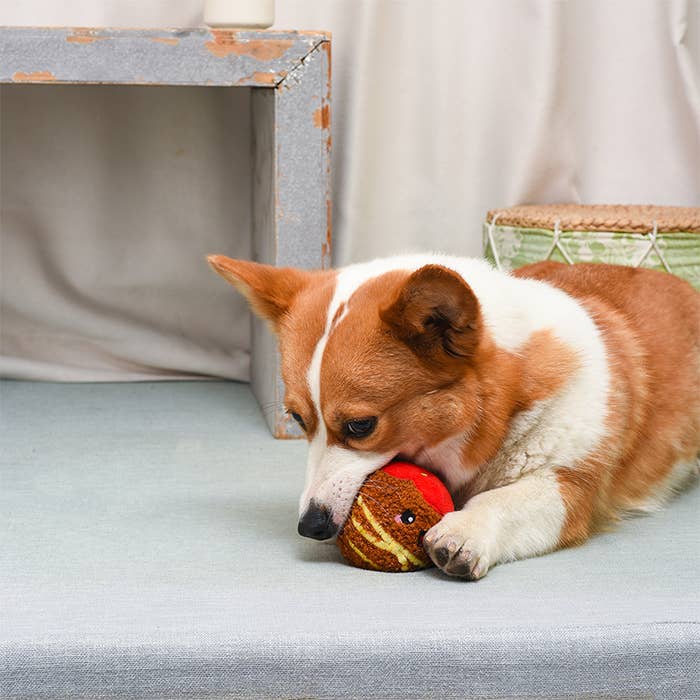 Hugsmart Products Inc - HugSmart Pet - Food Party | Spaghetti Meatball - Ball Toy