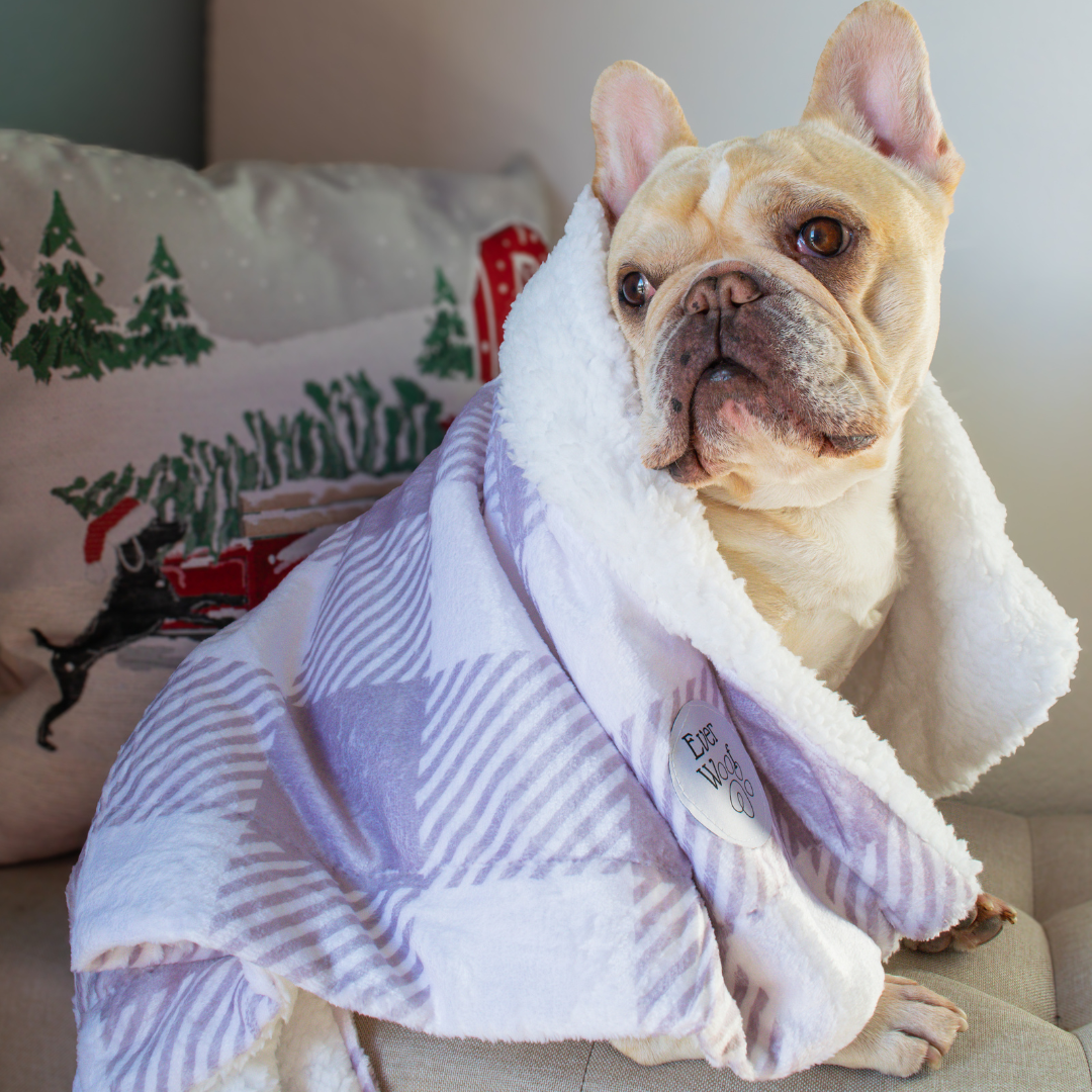 Sugar Plum Dog Blanket