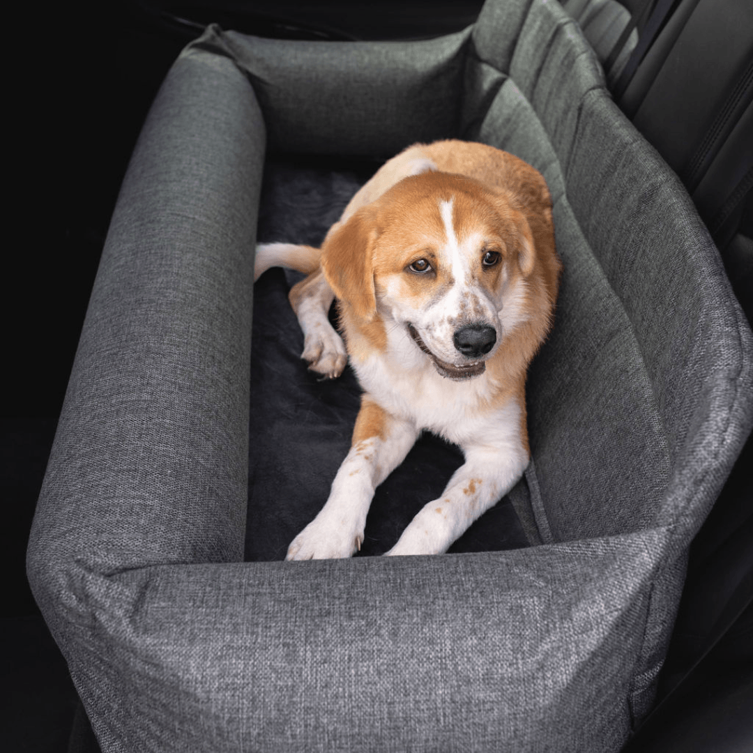 PupProtector™ Memory Foam Dog Car Bed - Doot's Pet LLC Collars For A Cause
