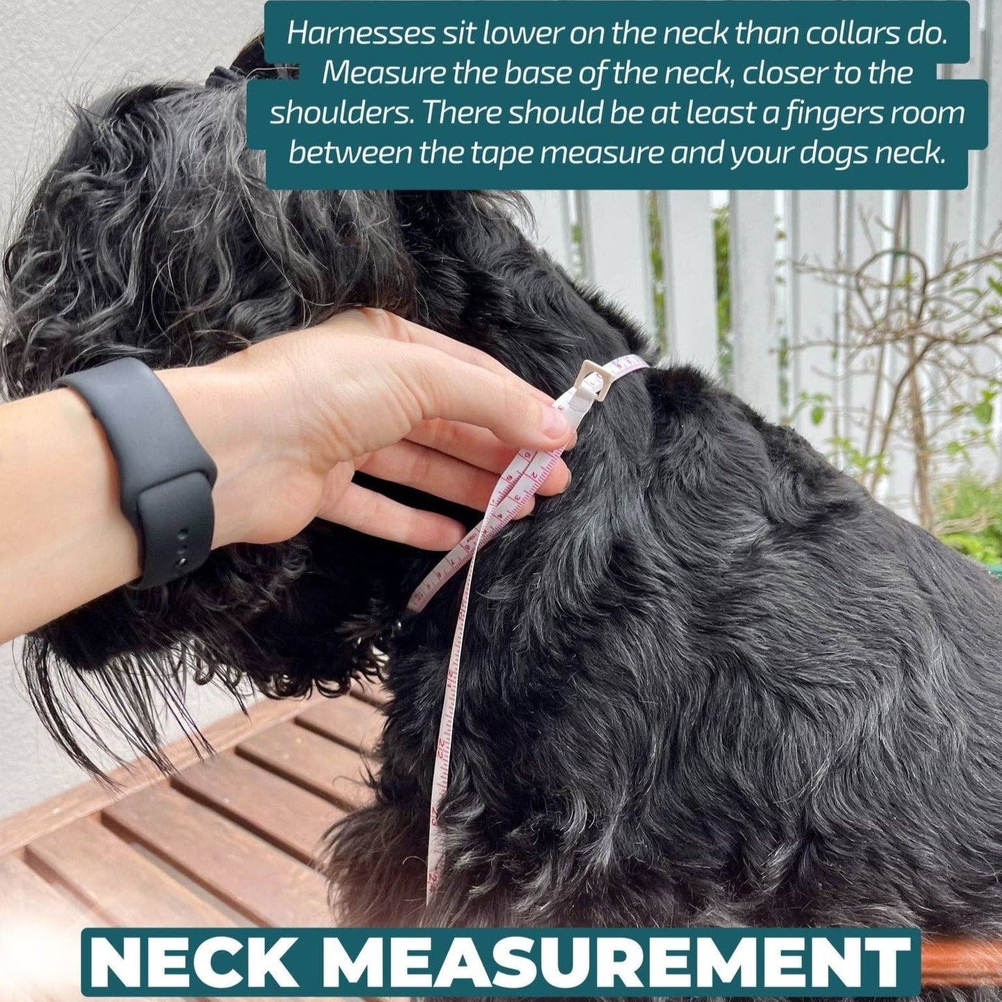 Dizzy Dog Collars - No Pull Dog Harness | Step in | Reflective | Heavy Duty | Easy Reach Handle | The Coco - Medium/Large