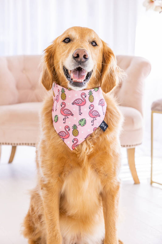 Tails Up, Pup - Flamingo Dog Bandana , Summer Dog Bandana , Summer Dog, Pink