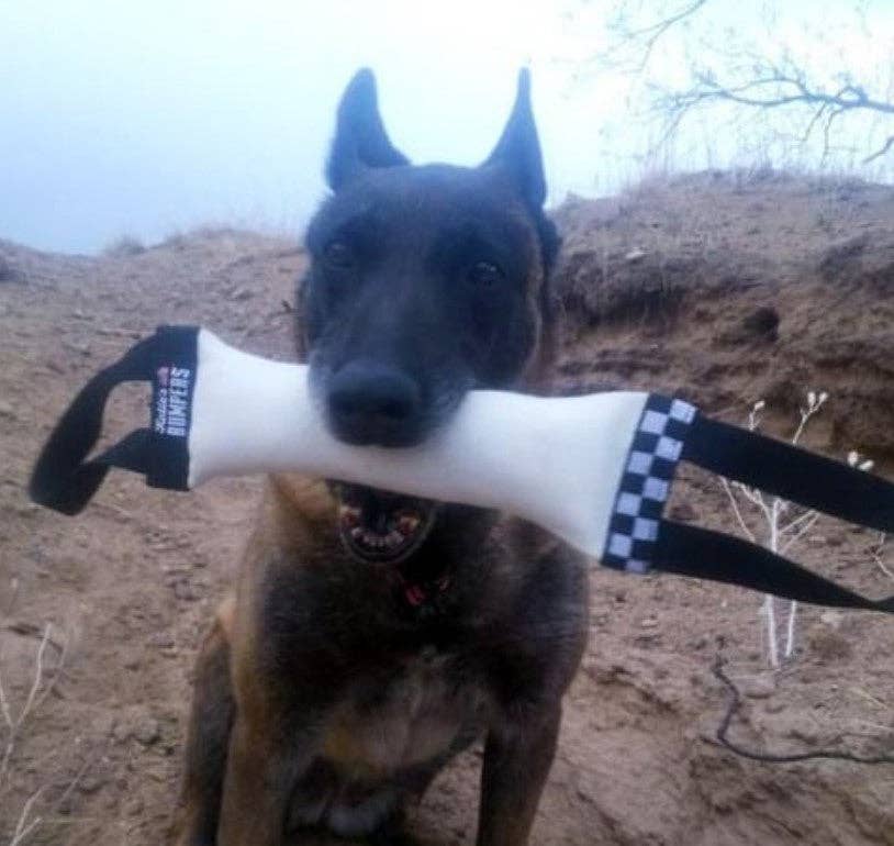 Katie's Bumpers - Best KB Double Tug Dog Tug Toy