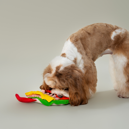 CHEWFFON - CHEWFFON Burrito Snuffle Toy