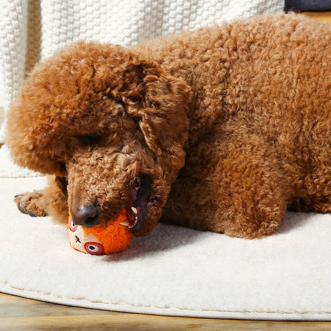 Hugsmart Products Inc - HugSmart Pet - Zoo Ball | Sloth - Dog Ball Toy
