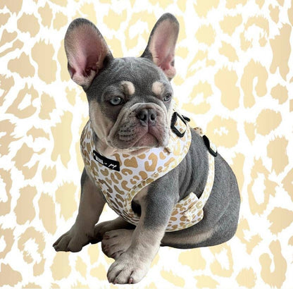 Mina + Pup - You're So Golden Adjustable Harness NOW IN XXS TOO