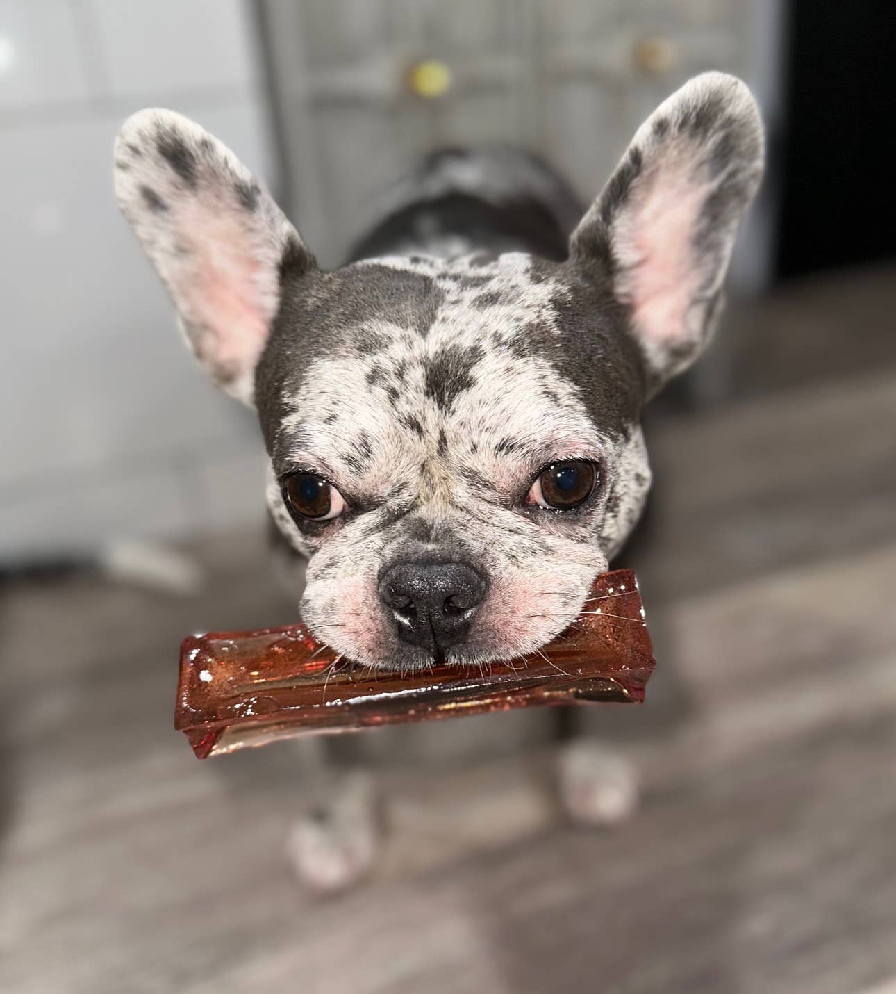 Wag & Bright Supply Co. - Mighty Marrows Collagen Dental Chew - Bacon