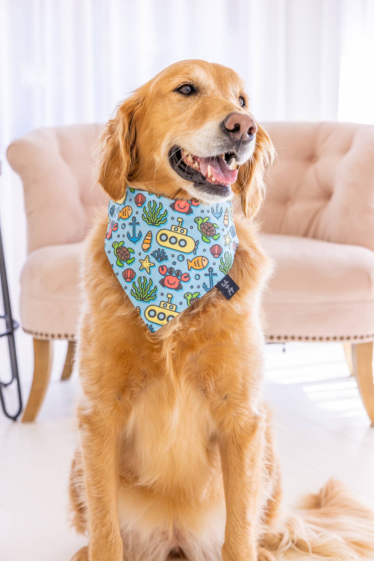 Tails Up, Pup - Ocean Dog Bandana , Summer Dog Bandana , Summer Dog