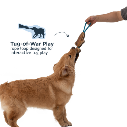 Tall Tails - Natural Leather Jointed Trout Tug Dog Toy