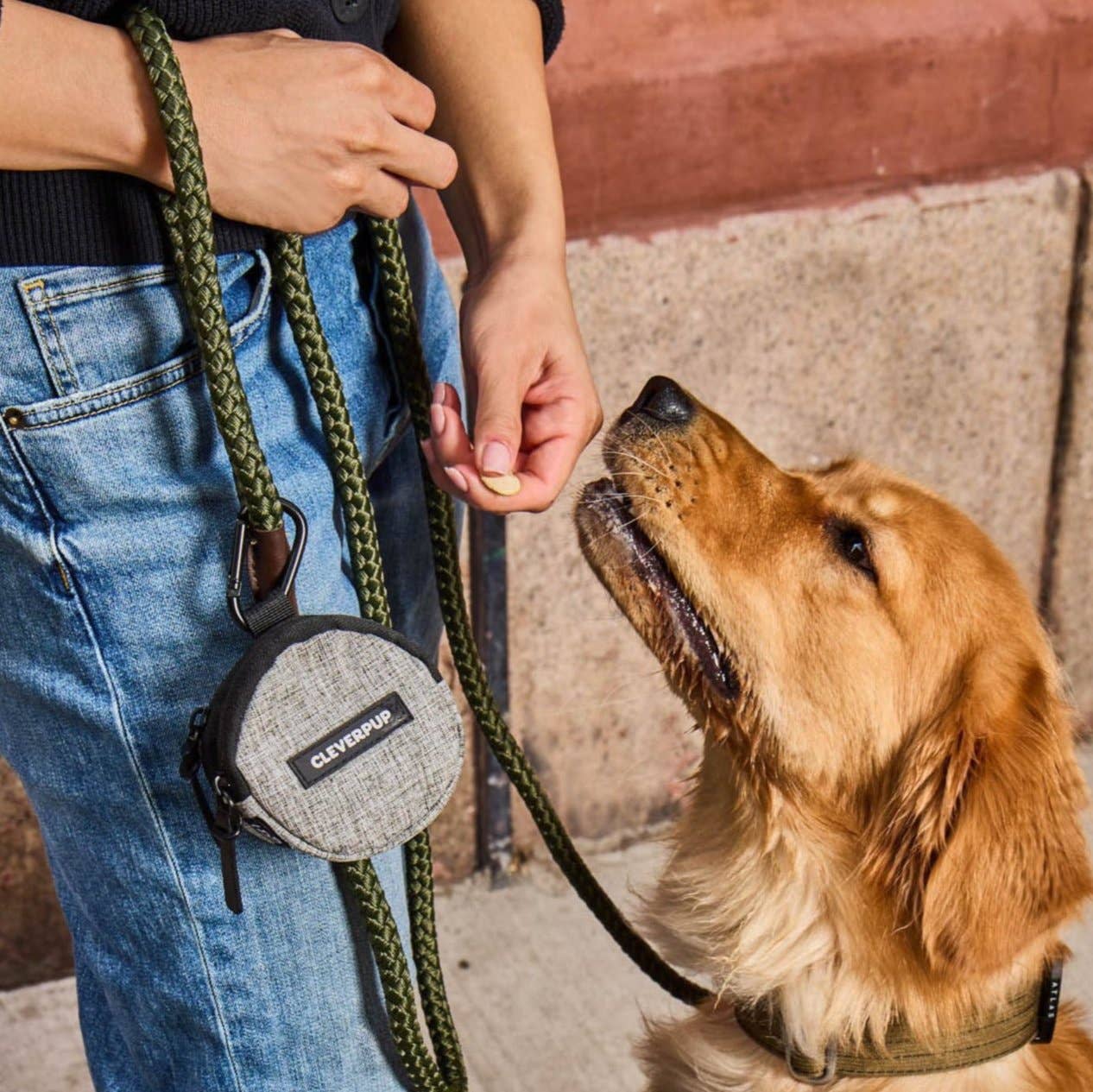 Cleverpup - Snackpack Double Insulated Dog Treat Pouch