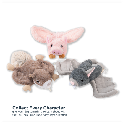 Tall Tails - Bat Fling and Fetch Toy for Dogs