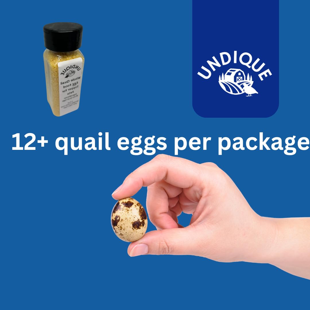 Quailicious Boost - Made in USA High-Protein Quail Egg Cat Food Topper, Freeze-Dried for Cat Digestive Health - Nutrient-Rich, Grain-Free Digestive Support for Cats, Ideal for Picky Eaters - Doot's Pet LLC Collars For A Cause