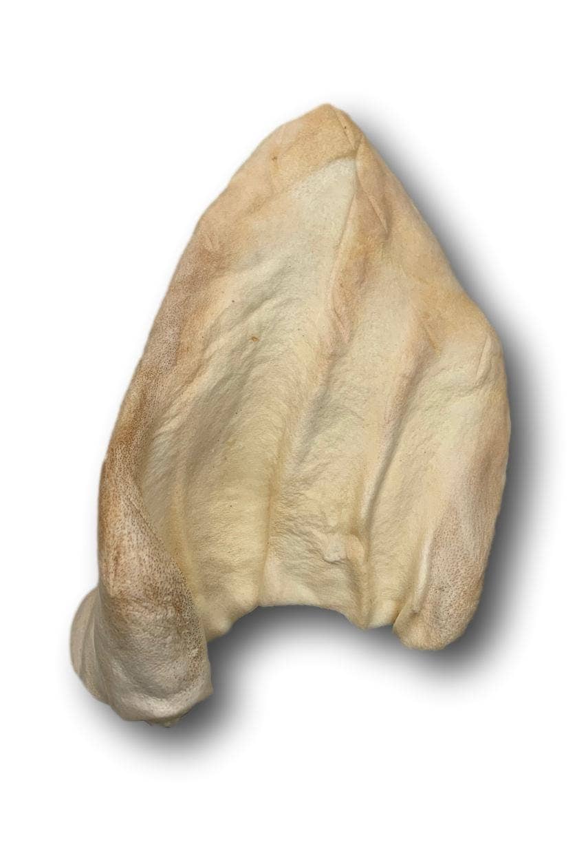 Healthy Dog Chews - Cow Ears Regular (CE0101NR) - Single