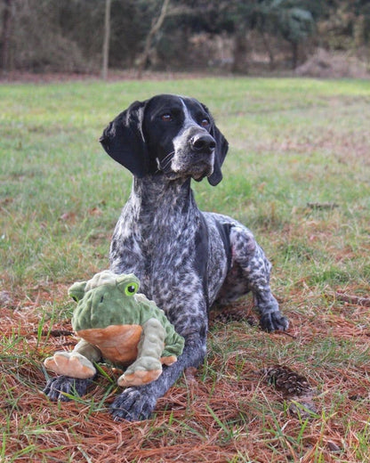 Tall Tails - Tall Tails Animated Frog Dog Toy