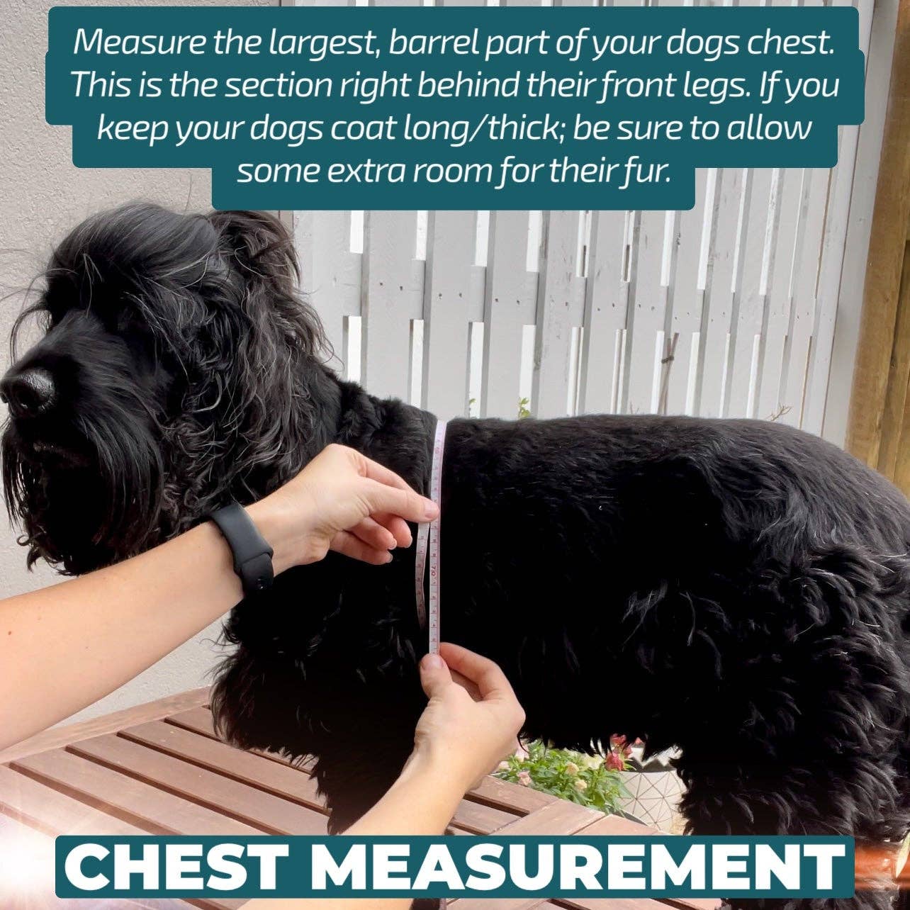 Dizzy Dog Collars - No Pull Dog Harness | Step in | Reflective | Heavy Duty | Easy Reach Handle | The Coco - Medium/Large