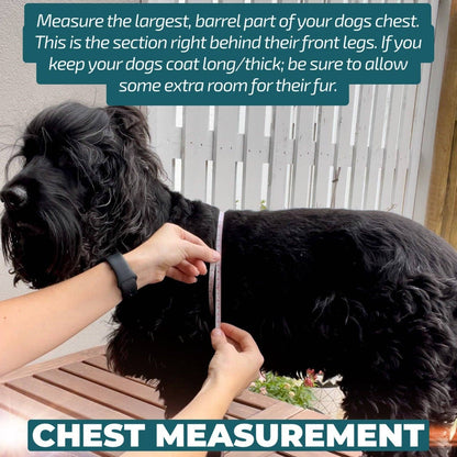 Dizzy Dog Collars - No Pull Dog Harness | Step in | Reflective | Heavy Duty | Easy Reach Handle | The Coco - Medium/Large
