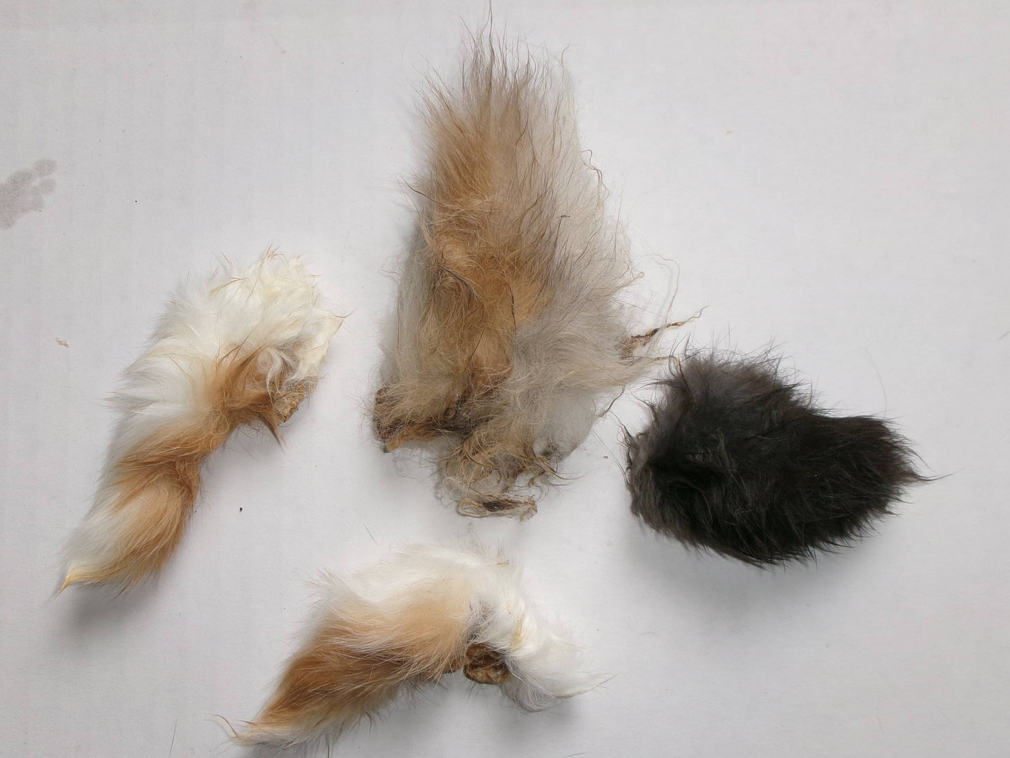 Doot's Chew Bar - Rabbit Tails Dehydrated