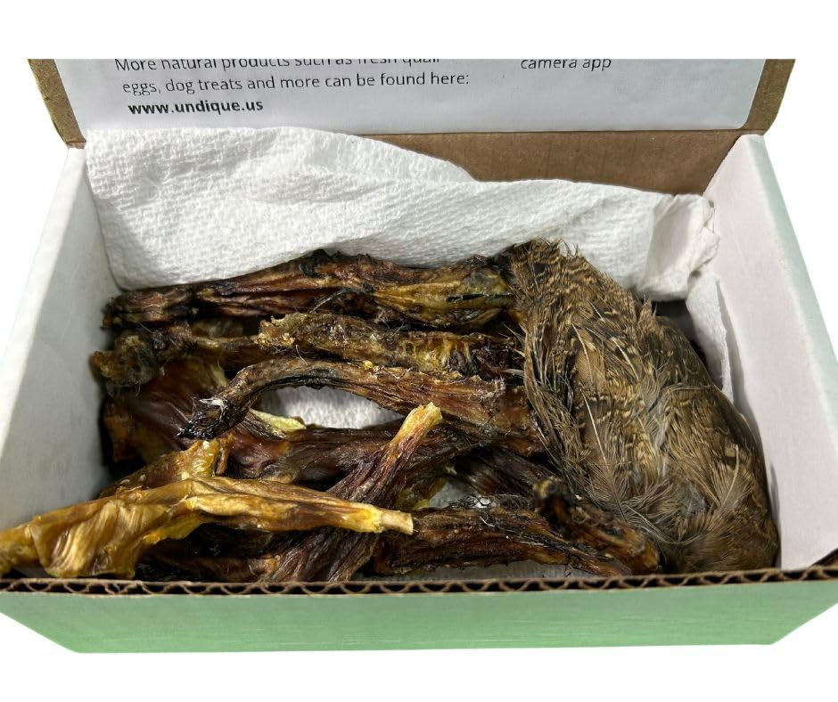 Quail Wing Dog Training Kit - Nutritious Dog Treats and Quail Wing for Effective Dog Training Sessions - Reinforce Positive Behaviors with Training Treats - Not Suitable for Small Breeds - Doot's Pet LLC Collars For A Cause