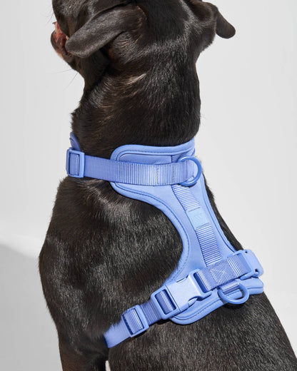 Wild One - Adjustable Comfort Dog Harness - Cocoa / SMALL