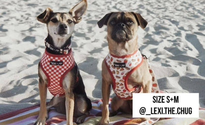 Mina + Pup - Drive-In Diner Reversible Harness