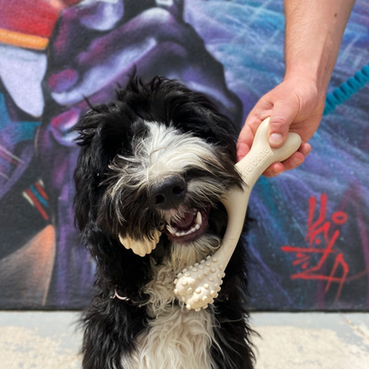 BetterBone Natural Dog Chews - BetterBone SOFT- All-Natural, Safer on Teeth, Sustainable - Beef / Small (dogs under 25 lbs)