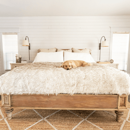 PupProtector™ Waterproof Throw Blanket - White with Brown Accents - Doot's Pet LLC Collars For A Cause