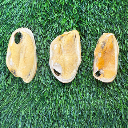 Doot's Chew Bar - Golden Nibbles - New Zealand Green-Lipped Mussel - Freeze-Dried  - 1 Mussel