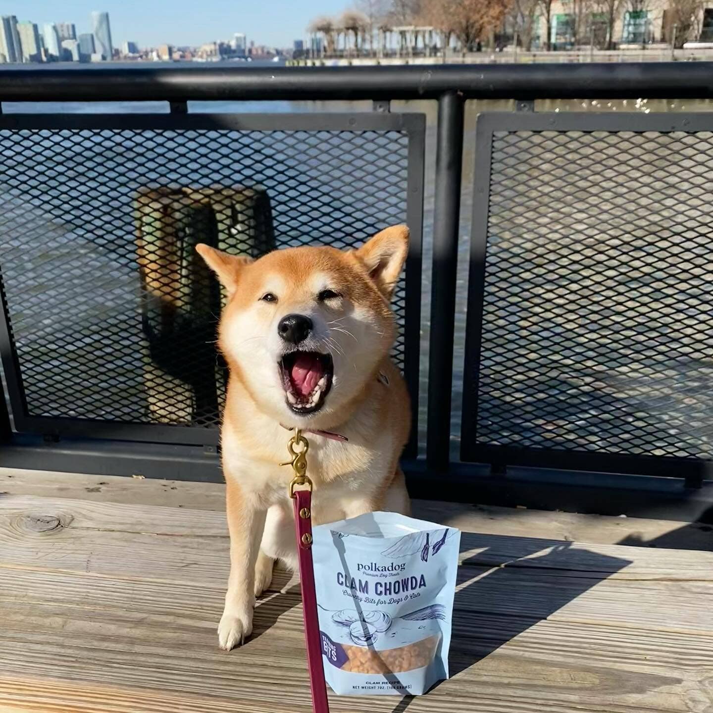 Polkadog Clam Chowda Training Bits Crunchy Dog & Cat Treats