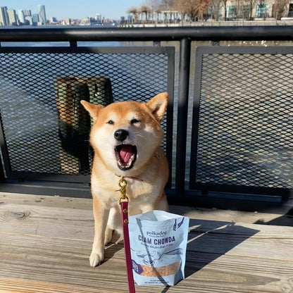 Polkadog Clam Chowda Training Bits Crunchy Dog & Cat Treats