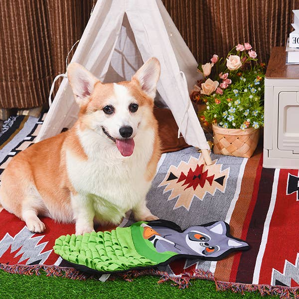 Hugsmart Products Inc - HugSmart Pet - Raccoon Buddies  | Raccoon Snuffle Mat