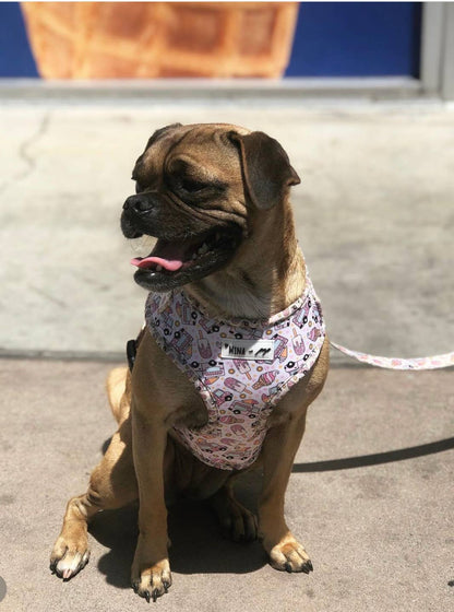 Mina + Pup - Ice Cream Dreams Adjustable Dog and Cat Harness