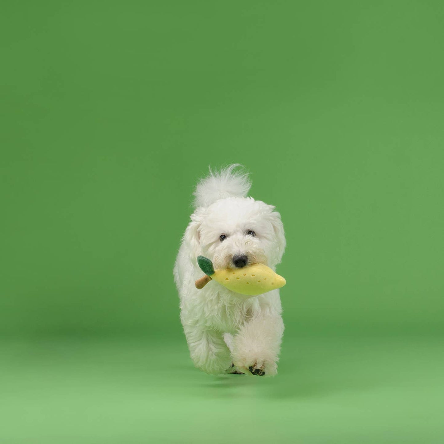 CHEWFFON - CHEWFFON Fruit Plush Squeaky Dog Toy Set – Strawberry, Lemon