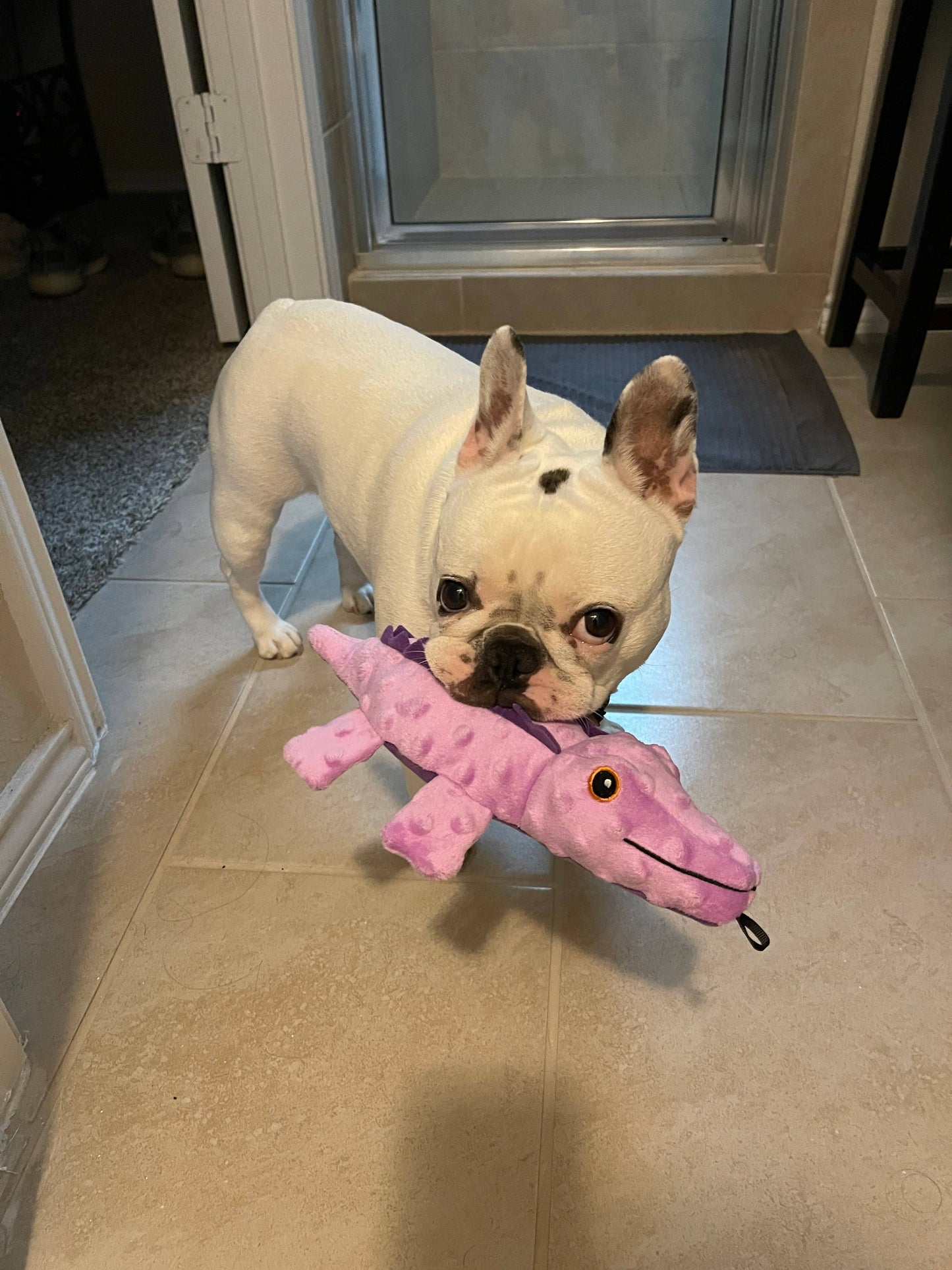 SnugArooz Ellie the Gator Plush Dog Toy 12"