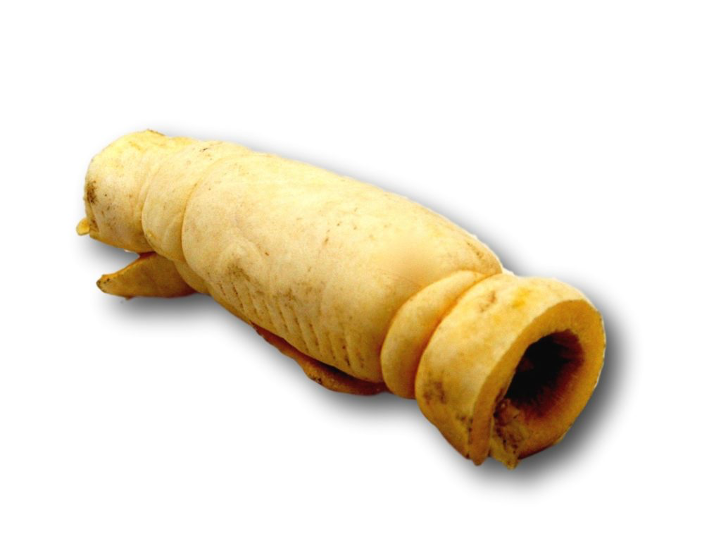 Healthy Dog Chews - Beef Cheek Roll 5"-6"  (BC06ROLL) - Single