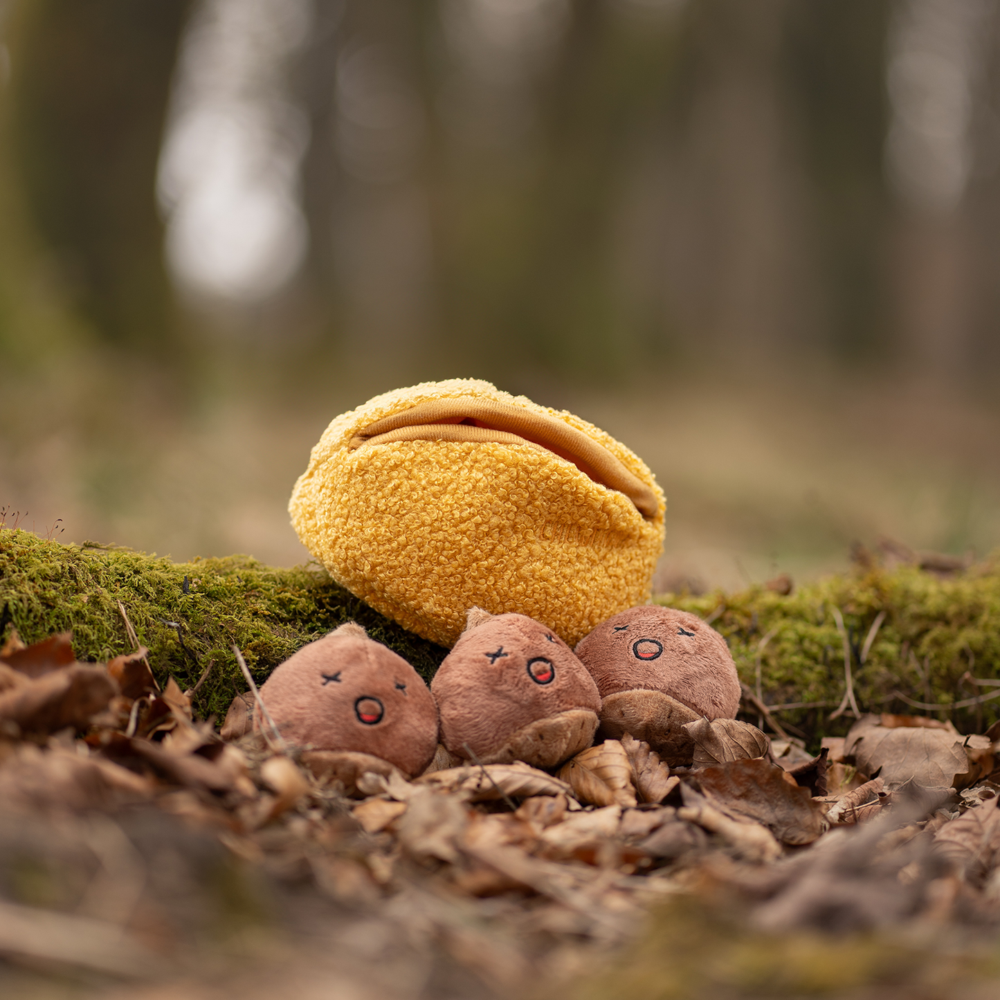 CHEWFFON - CHEWFFON Chestnut Hide & Seek Squeaky Dog Toy