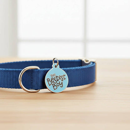 Bad Tags - Personalized Dog ID Tag Scannable QR Code - The Bestest Boy - Engraved QR Code / Large 1.25"