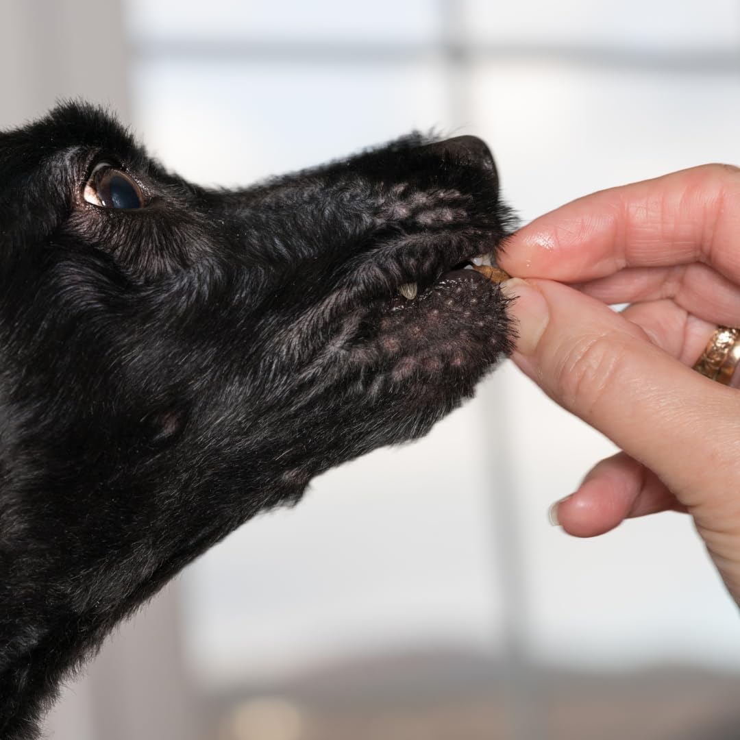 Quail Crunch Bites: Gourmet Dehydrated Dog Treats with Quail Meat & Shells | Premium Healthy Dog Treats for Training | Organic Ingredients for a Happy Palate - Doot's Pet LLC Collars For A Cause