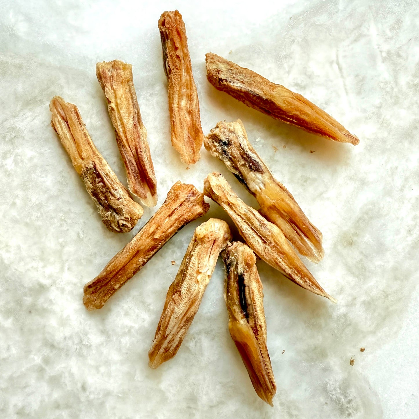 Golden Nibbles - Duck Tongues - Pack of 5- Freeze-Dried Treats for Dogs & Cats