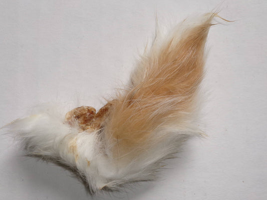 Doot's Chew Bar - Rabbit Tails Dehydrated