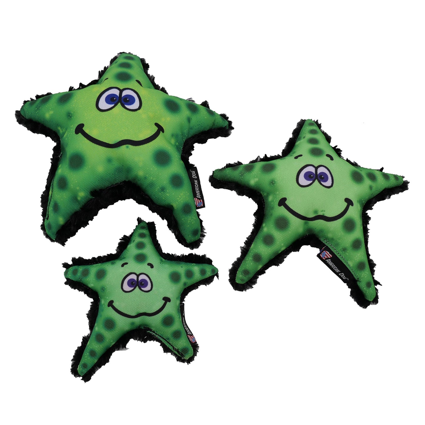 Stanley Starfish