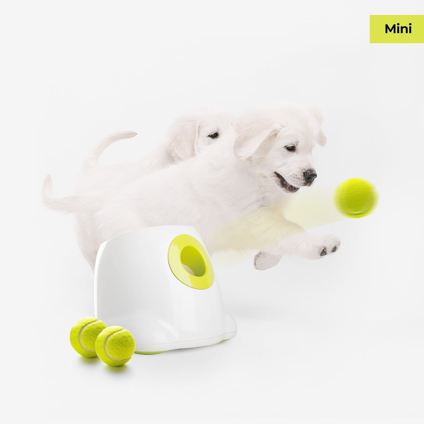 Mini Hyper Fetch Automatic Ball Launcher For Small Dogs - Doot's Pet LLC Collars For A Cause