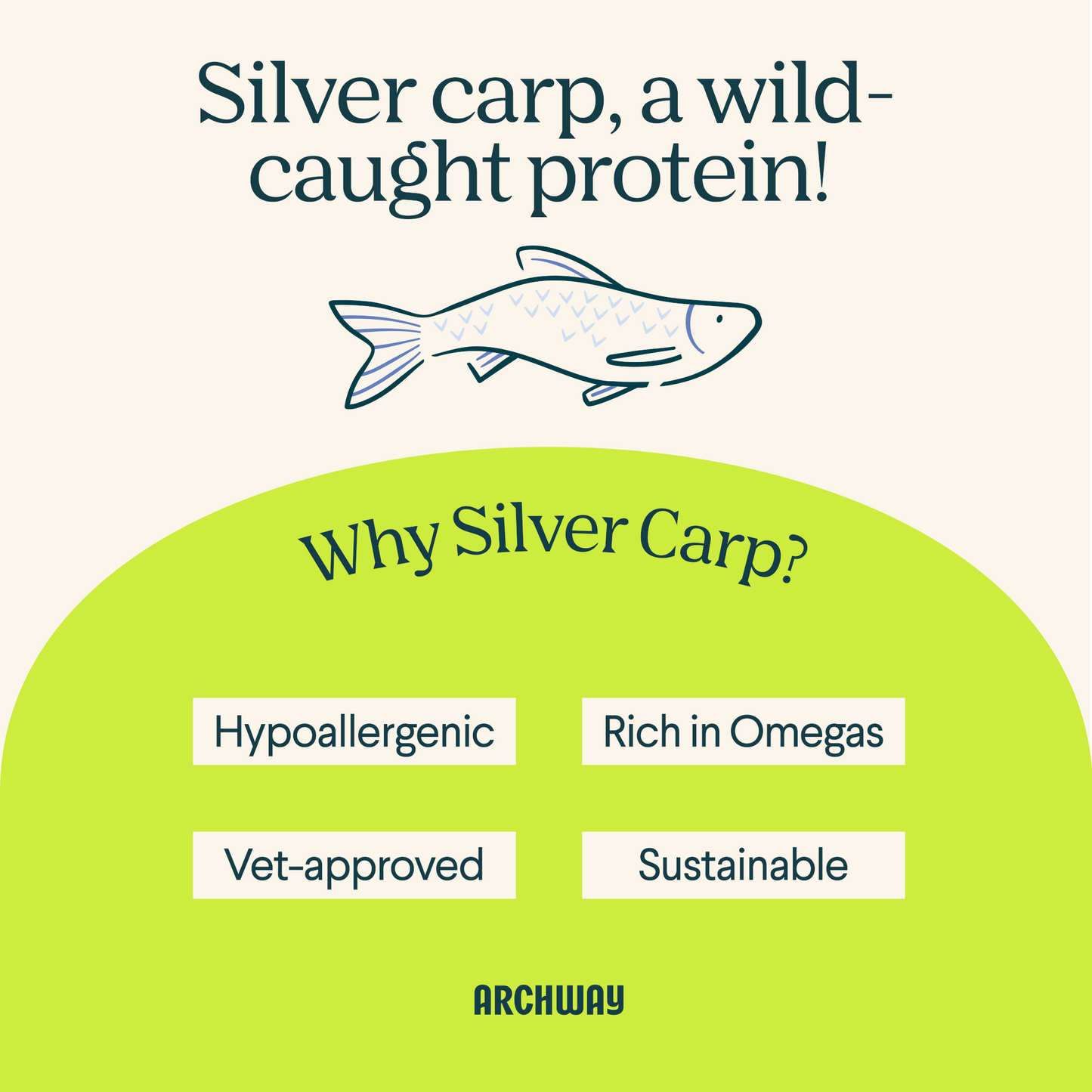 Silver Carp Dog Food - Doot's Pet LLC Collars For A Cause