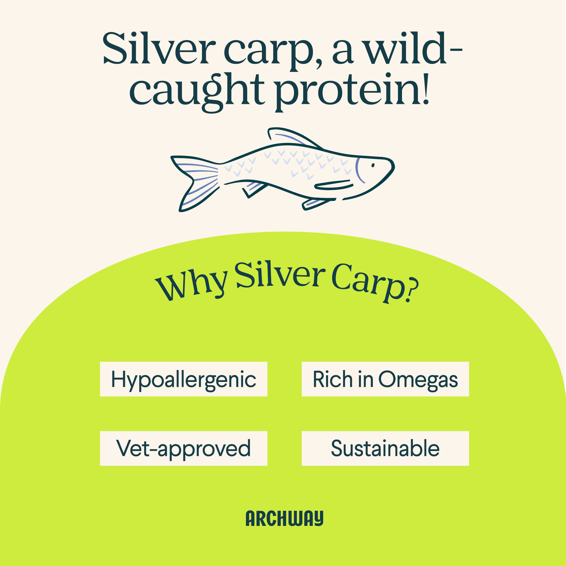 Silver Carp Dog Food - Doot's Pet LLC Collars For A Cause