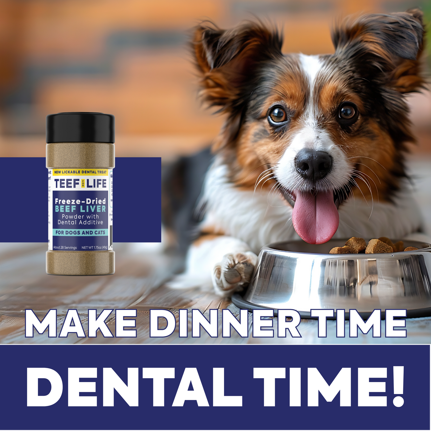 Lickable Treat Powder - Dog and Cat Formula (Beef Liver or Salmon) - Doot's Pet LLC Collars For A Cause