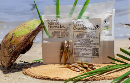 Dehydrated Atlantic Silverside – 2oz | Raw Instincts | Small Batch Florida Fish Treat for Cats & Dogs - Doot's Pet LLC Collars For A Cause